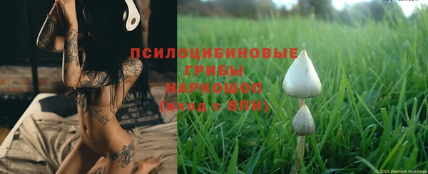 твердый Абинск
