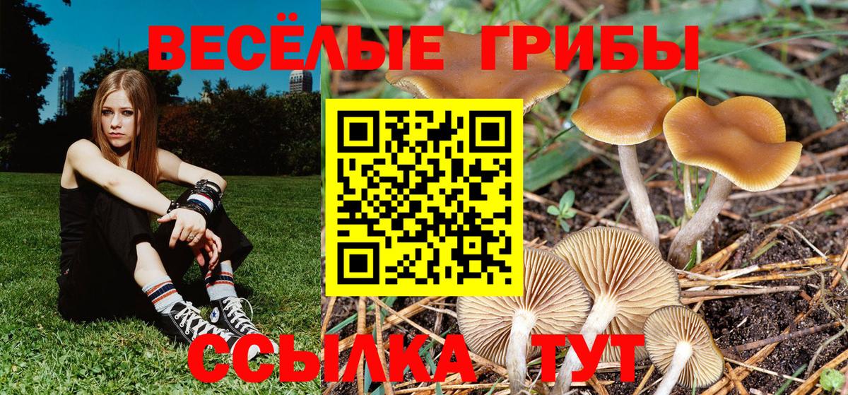 Краснодар  Псилоцибиновые грибы прущие грибы  Вход с VPN 